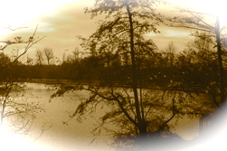 gswearlswoodlakes