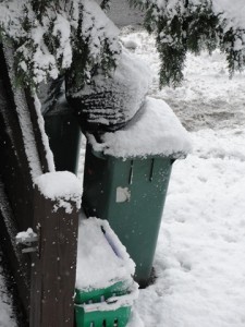 Snow
