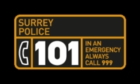 Surrey101